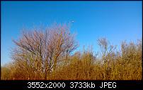 Nokia Lumia 920 - Fotoqualität-wp_20130112_006.jpg