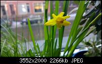 Nokia Lumia 920 - Fotoqualität-wp_20130113_007.jpg