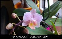 Nokia Lumia 920 - Fotoqualität-wp_20130113_016.jpg