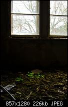 Nokia Lumia 920 - Videoqualität-dsc_0281.jpg