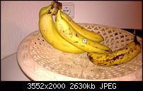 Nokia Lumia 920 - Fotoqualität-wp_20130202_019.jpg