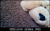 Nokia Lumia 920 - Fotoqualität-wp_20130206_017.jpg