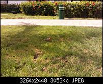 Nokia Lumia 920 - Fotoqualität-2012.08.11-101-.jpg