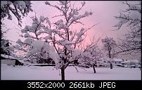 Nokia Lumia 920 - Fotoqualität-wp_20130208_024.jpg