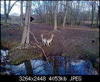 Nokia Lumia 920 - Fotoqualität-wp_20121227_003-1-.jpg