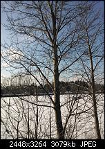 Nokia Lumia 920 - Fotoqualität-lumia800_3.jpg