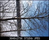 Nokia Lumia 920 - Fotoqualität-olympus3.jpg