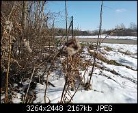 Nokia Lumia 920 - Fotoqualität-lumia800_5.jpg