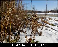 Nokia Lumia 920 - Fotoqualität-lumia920_5.jpg