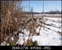 Nokia Lumia 920 - Fotoqualität-olympus5.jpg