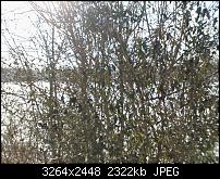 Nokia Lumia 920 - Fotoqualität-lumia800_8.jpg