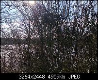 Nokia Lumia 920 - Fotoqualität-lumia920_8.jpg