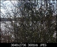 Nokia Lumia 920 - Fotoqualität-olympus8.jpg