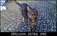 Nokia Lumia 920 - Fotoqualität-wp_20130209_011.jpg