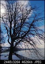 Nokia Lumia 920 - Fotoqualität-wp_20130209_036.jpg