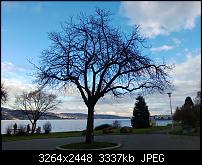 Nokia Lumia 920 - Fotoqualität-wp_20130102_001.jpg