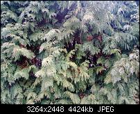 Nokia Lumia 920 - Fotoqualität-wp_20130109_001.jpg