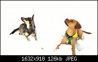 Nokia Lumia 920 - Fotoqualität-wp_20130216_053.jpg