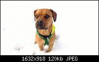 Nokia Lumia 920 - Fotoqualität-wp_20130216_036.jpg