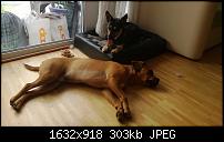 Nokia Lumia 920 - Fotoqualität-wp_20130216_014.jpg