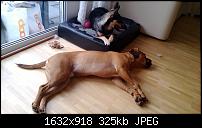 Nokia Lumia 920 - Fotoqualität-wp_20130216_015.jpg