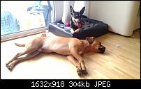 Nokia Lumia 920 - Fotoqualität-wp_20130216_016.jpg