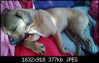 Nokia Lumia 920 - Fotoqualität-wp_20130217_007.jpg