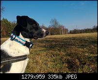 Nokia Lumia 920 - Fotoqualität-wp_20130218_103.jpg