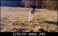 Nokia Lumia 920 - Fotoqualität-wp_20130218_064.jpg