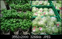 Nokia Lumia 920 - Fotoqualität-wp_20130220_001.jpg