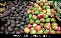 Nokia Lumia 920 - Fotoqualität-wp_20130220_003.jpg