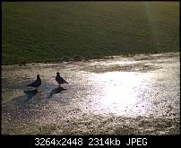 Nokia Lumia 920 - Fotoqualität-wp_20121228_008.jpg