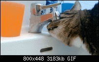 Nokia Lumia 920 - Fotoqualität-wp_20130222_11_18_28_cinemagraph-1-.gif