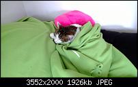 Nokia Lumia 920 - Fotoqualität-2013_02_24_10_34_57_proshot.jpg