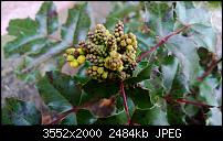 Nokia Lumia 920 - Fotoqualität-wp_20130228_005-1-.jpg