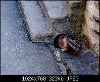 Nokia Lumia 920 - Fotoqualität-wp_20130303_044-detail.jpg