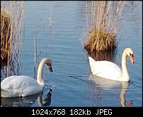 Nokia Lumia 920 - Fotoqualität-wp_20130303_009-detail.jpg