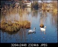 Nokia Lumia 920 - Fotoqualität-wp_20130303_009.jpg