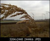 Nokia Lumia 920 - Fotoqualität-2013_03_09_14_54_24_proshot.jpg