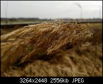 Nokia Lumia 920 - Fotoqualität-2013_03_09_14_54_31_proshot.jpg