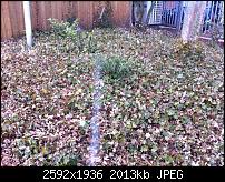 Nokia Lumia 920 - Fotoqualität-img_0045.jpg