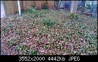 Nokia Lumia 920 - Fotoqualität-wp_20130328_013.jpg