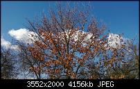 Nokia Lumia 920 - Fotoqualität-sw-vergleich-4-lumia-920-alte-software.jpg