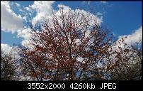 Nokia Lumia 920 - Fotoqualität-sw-vergleich-4-lumia-920-neue-software.jpg