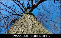 Nokia Lumia 920 - Fotoqualität-sw-vergleich-7-lumia-920-alte-software.jpg