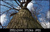 Nokia Lumia 920 - Fotoqualität-sw-vergleich-7-lumia-920-neue-software.jpg