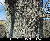 Nokia Lumia 920 - Fotoqualität-sw-vergleich-9-sx230-alte-software.jpg