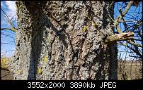 Nokia Lumia 920 - Fotoqualität-sw-vergleich-9-lumia-920-alte-software.jpg