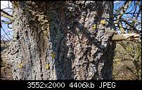 Nokia Lumia 920 - Fotoqualität-sw-vergleich-9-lumia-920-neue-software.jpg