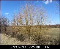 Nokia Lumia 920 - Fotoqualität-sw-vergleich-10-sx230-alte-software.jpg